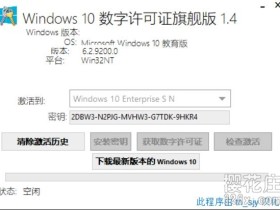 Windows10数字许可证激活工具旗舰汉化版v1.4