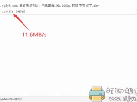 吊打迅雷!闪电下载PC版1.0.2(支持磁力、https、ed2k、ftp等多种格式)