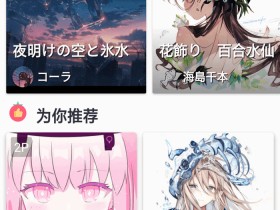 收藏动漫壁纸必备!P站第三方客户端Shaft-1.0.52(安卓),插画随便看