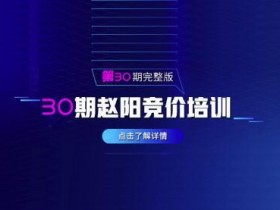 赵阳sem竞价培训 第30期(2020最新)视频课全套 价值3999元