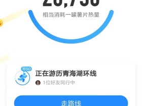 安卓刷步工具/运动加速器1.6.2(支持微信、支付宝、微博),每天稳稳2万步!