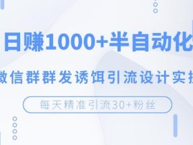 微信群群发诱饵引流设计方案,虚拟冷门资源日赚几百上千【视频教程】