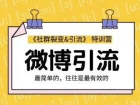 胜子《社群裂变&引流》特训营,最简单的微博引流,最简单也最有效【视频教程】