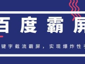 新手也可以操作的百度霸屏(最新2020年4月)快排精讲实战,爆炸性引流秘籍【视频教程】