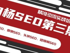 白杨大平台SEO精准引流(百度SEO、微信SEO、头条SEO、短视频SEO)第三期 实战培训内部课程