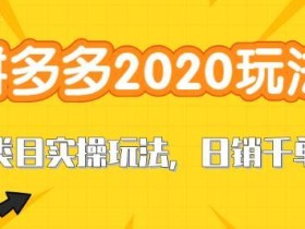 2020拼多多直通车打造新类目爆款玩法,轻松日销千单实战培训【视频教程】