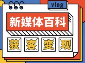 手把手教会你2020年玩转新媒体,快速实现获客和变现之路【视频教程】