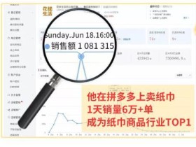2020年拼多多赚钱实战项目,无需货源、资金、人脉,肯干就能月入上万【视频教程】