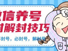 2020微信养号防封解封攻略(怎么养号不被封,如何避免封号雷区等)【文档教程】