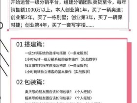 打造个人IP,从0开始搭建一个分销团队(从搭建、包装、布局到推广全套)【视频教程】
