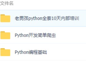 （13G）python学习大礼包！【编程基础+简单爬虫+进阶项目+开发培训全套视频教程】
