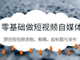 做短视频媒体项目必备技术(原创短视频生成,搬运去水印剪辑、布局标题、发布技巧等)【视频教程】