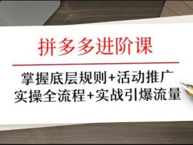 拼多多电商全流程实操进阶课:掌握底层规则+活动推广+标品与服装实战引爆流量【视频教程】