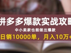 拼多多从入驻到爆款实战,中小卖家也能日销万单,月入10W+【视频教程】