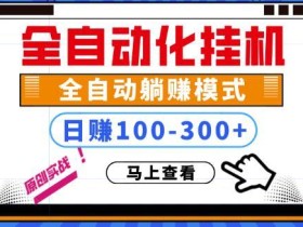 一台电脑全自动挂机,日入100-300+可长期操作,可批量放大【视频教程】