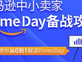 跨境电商亚马逊中小卖家Primeday备战攻略,6课时带你从0到1解读Primeday【视频教程】