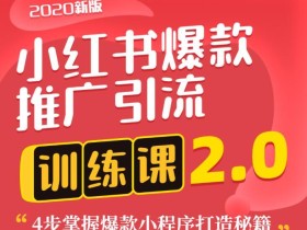 小红书爆款引流训练课2.0版(狼叔),简单4步精通爆款小程序打造【视频教程】