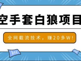2020最新全网截流技术,月赚20W的空手套白狼项目【视频教程】