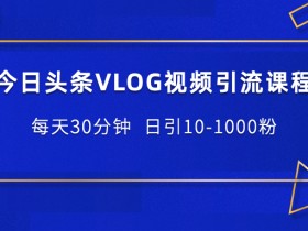 今日头条VLOG视频,日引千粉,每天只花30分钟【视频教程】