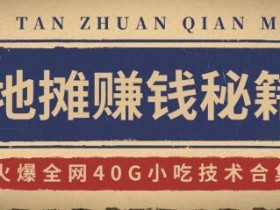 还要错过地摊商机吗?地摊赚钱秘籍+新鲜出炉地摊攻略+火爆全网40G小吃技术【视频教程】