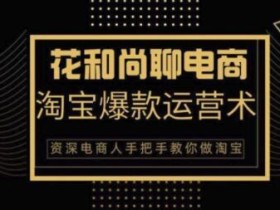 淘宝天猫爆款运营实操术(花和尚),手把手传授你月销万件的爆款秘笈【视频教程】