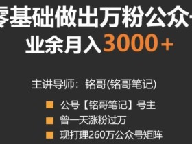 一天涨粉过万的大牛带你零基础做出万粉公众号,兼职月收入3000+【视频教程】