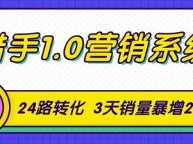 猎手1.0营销系统,从零开始的营销实战课,24路转化秘诀让销量3天暴涨20倍【视频教程】