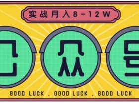 公众号矩阵实战,一年半打造20多个公众号,关注数70W左右,每个月收益大概在8-12W【视频教程】