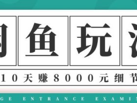 宅男闲鱼项目玩法实战班第12期,操作10天利润8000元细节玩法