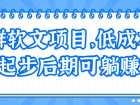 暴利站群软文项目,完全0基础新手可操作后期躺赚!【视频教程】