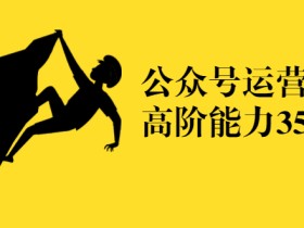 公众号运营高阶玩法,想要实现月入3万的新媒体人必修课【视频教程】