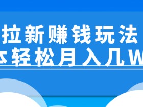 地推拉新赚钱玩法,两个0成本副业轻松月入几w小项目!【视频教程】