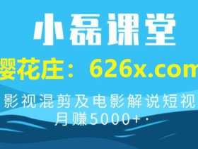 抛弃纯剪辑做法,解说+剪辑才能长久!小磊课堂影视混剪及电影解说 视频月赚5000+弟子班【视频教程】
