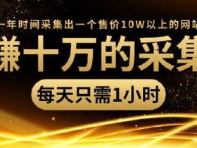 建采集站赚钱全新版本,每天一小时,如何采集出一个售价10W的网站【视频教程】