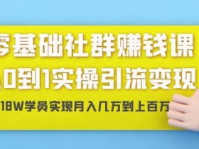 零基础社群赚钱课:从0到1实操引流变现,月入几万甚至上百万【视频教程】