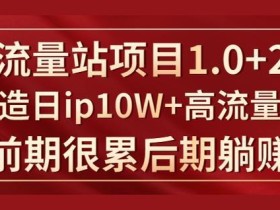 建网站赚钱:日ip10万+的大流量站seo项目实战 前期很累后期躺赚【视频教程】
