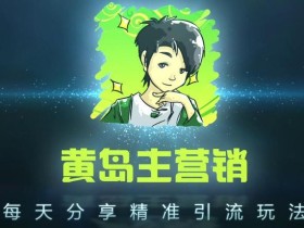 黄岛主抖音引流课程:利用seo优化抖音被动引流玩法【视频教程】