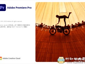 [Windows]视频剪辑神器 Premiere Pro 2020 v14.3.1 中文绿色特别版免激活
