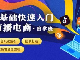 0基础快速入门直播电商自学班:团队打造 直播带货全流程+平台玩法解析【视频教程】