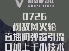 树敌研习社0726抖音直播培训课:抖音直播间弹窗暴力微信引流,日加上千粉【视频教程】