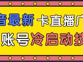 2020年8月最新抖音卡直播广场方法、新老账号异常账号都可冷启动技术【视频教程】