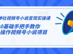 微信视频号小说变现操作实录:0基础手把手教你操作视频号小说项目【视频课程】