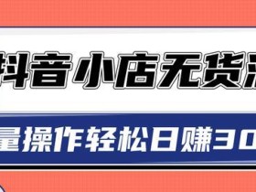 2020抖音带货新规下抖音小店无货源玩法,日赚300+可批量放大长久项目【视频教程】