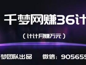 【千梦网赚36计】之24:建站赚钱,傻瓜式采集站年入20万玩法【视频教程】