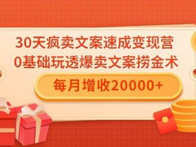 30天疯卖文案速成变现营,0基础玩透爆卖文案捞金术!每月增收20000+【视频教程】