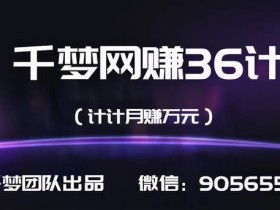 【千梦网赚36计】之29:复购率百分百的产品网站推销+微商,简简单单月赚5万元【视频教程】