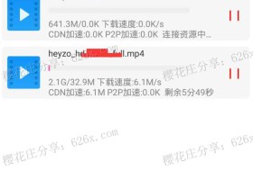 极速磁力bt下载工具:安卓千鸟v1.09,下载能跑满带宽,还可以预览