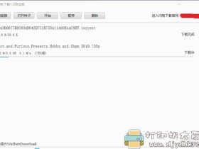 不限速磁力、种子下载工具:闪电下载电脑版