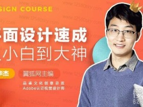 平面设计速成从小白到大神视频课程(全34节)带素材