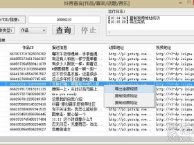 2019年6月可用:pc端抖音无水印视频解析工具-抖音查询(可单个解析,也可批量解析用户uid所有视频)